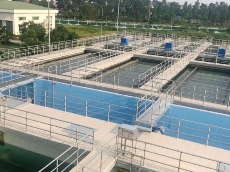 Cơ cấu tổ chức và nhân sự điều hành