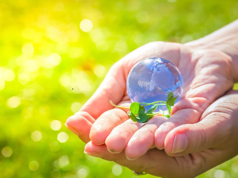 Trách nhiệm quản lý của nhà nước và các tổ chức